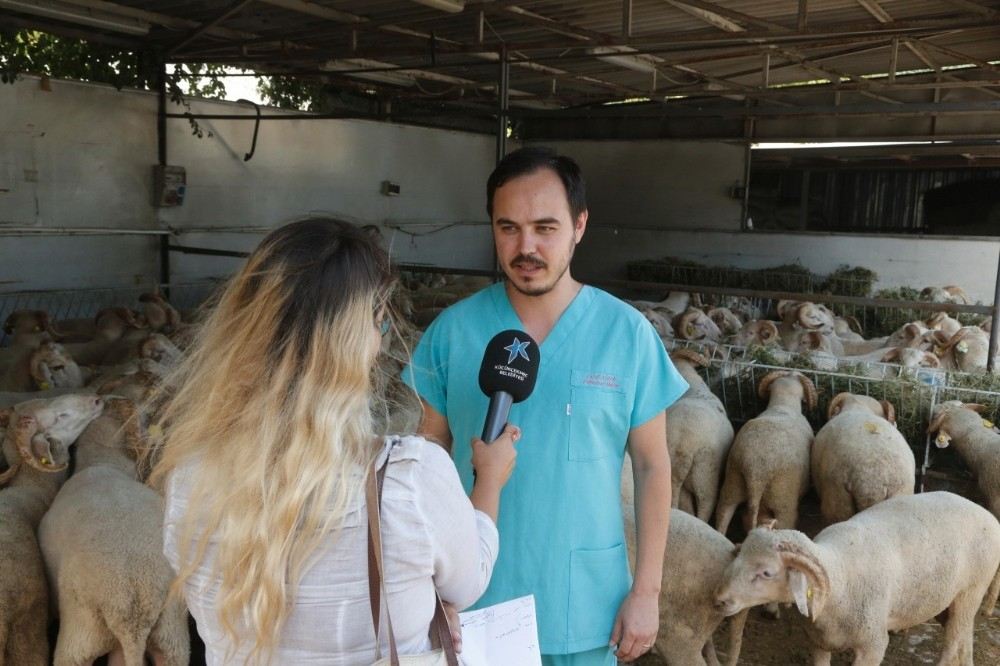 Kurban Alacaklar Bunlara Dikkat