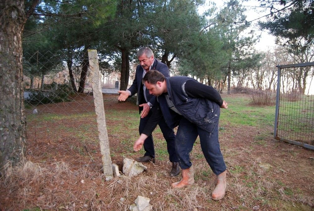 Muhtardan Mezarlık Kapısını Çalan Hırsızlara Tepki: Diriye Saygınız Yok, Ölüye Saygınız Olsun