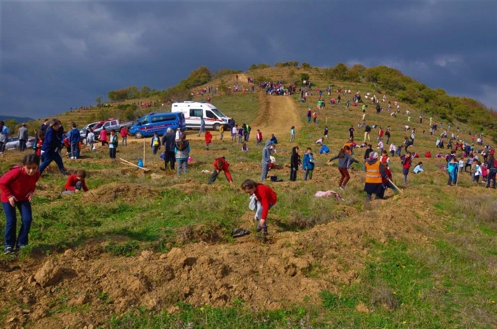 Öğrenci Ve Öğretmenler Birlikte Fidan Dikti