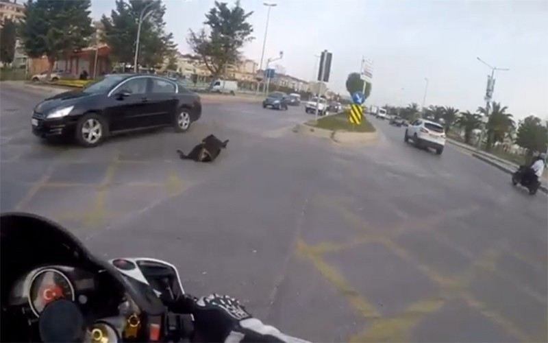 Otomobilin Köpeğe Çarparak Metrelerce İleri Fırlattığı Kaza Kamerada