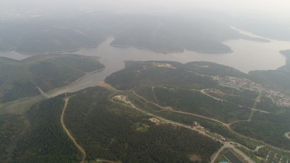 (Özel)  Sultangazi Mimar Sinan Şehir Ormanında  Cemal Kaşıkçının İzi Arandı