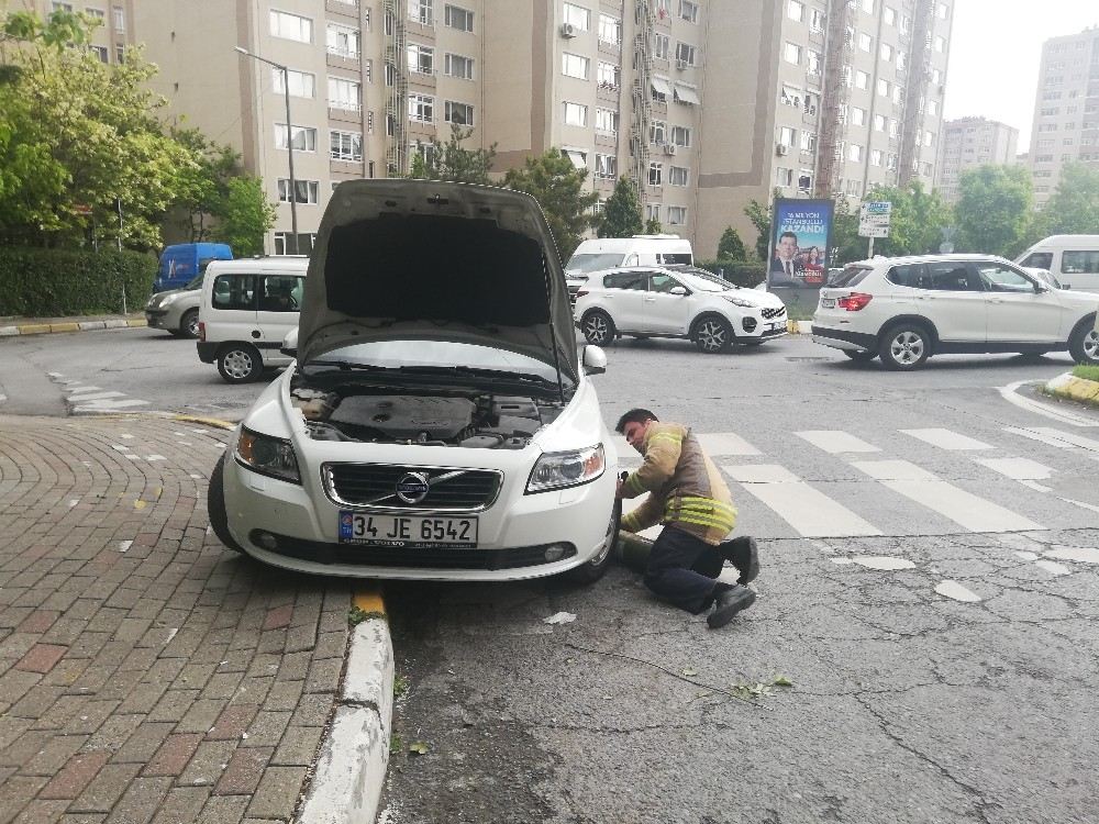 (Özel) Aracın Motoruna Sıkışan İnatçı Kediyi Kedi Sesi İle Kurtarma Operasyonu