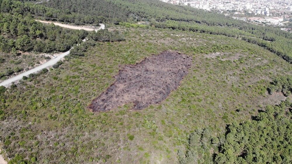 (Özel) Aydos Ormanında Kundaklama Sonucunda Yanan Ormanlık Alandaki Tahribat Havadan Görüntülendi
