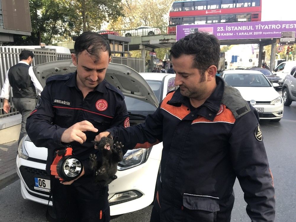 (Özel) Beşiktaşta İtfaiye Ekiplerinden Yavru Kedi Kurtarma Operasyonu