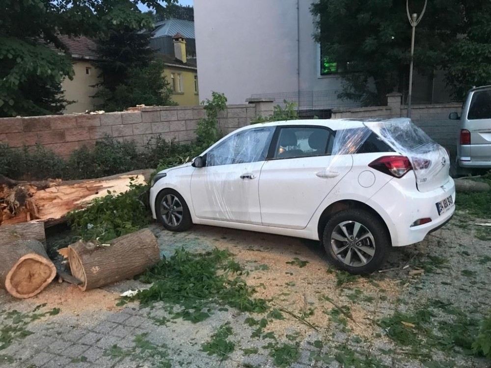 (Özel) Cami Bahçesindeki Aracın Üzerine Ağaç Devrildi