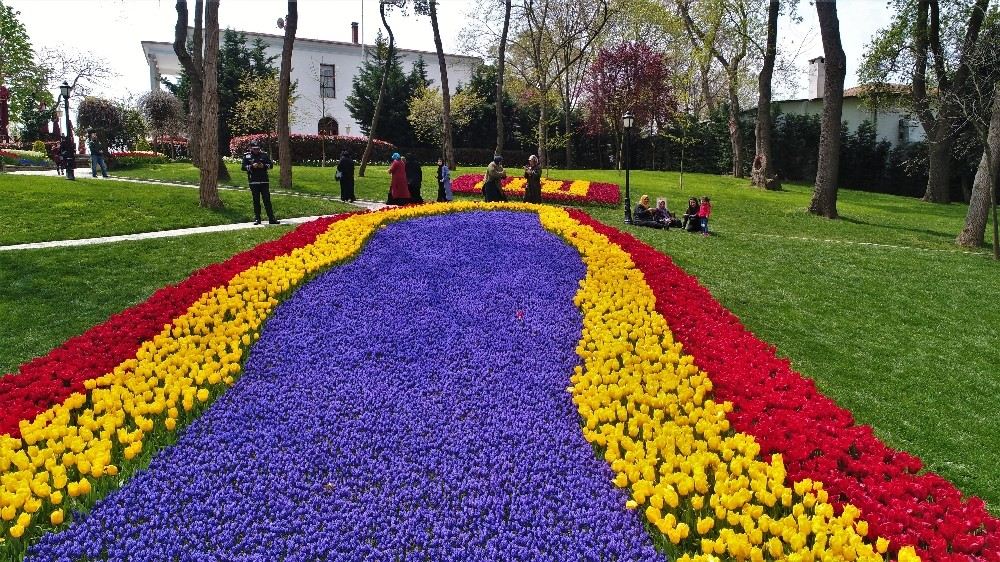 (Özel) İstanbulu 20 Milyon Lale Renklendiriyor