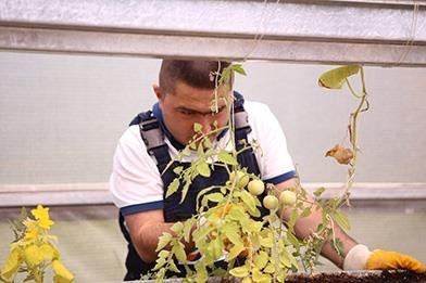 Özel Öğrenciler Yetiştirdikleri Ürünleri Toplamanın Heyecanını Yaşadı