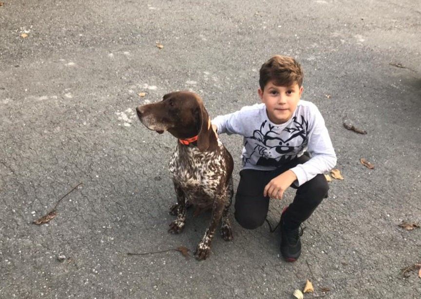 (Özel) Sarıyerde Salyangoz Zehri Dehşeti: 1 Köpek Telef Oldu, 2Sinin Durumu Ağır