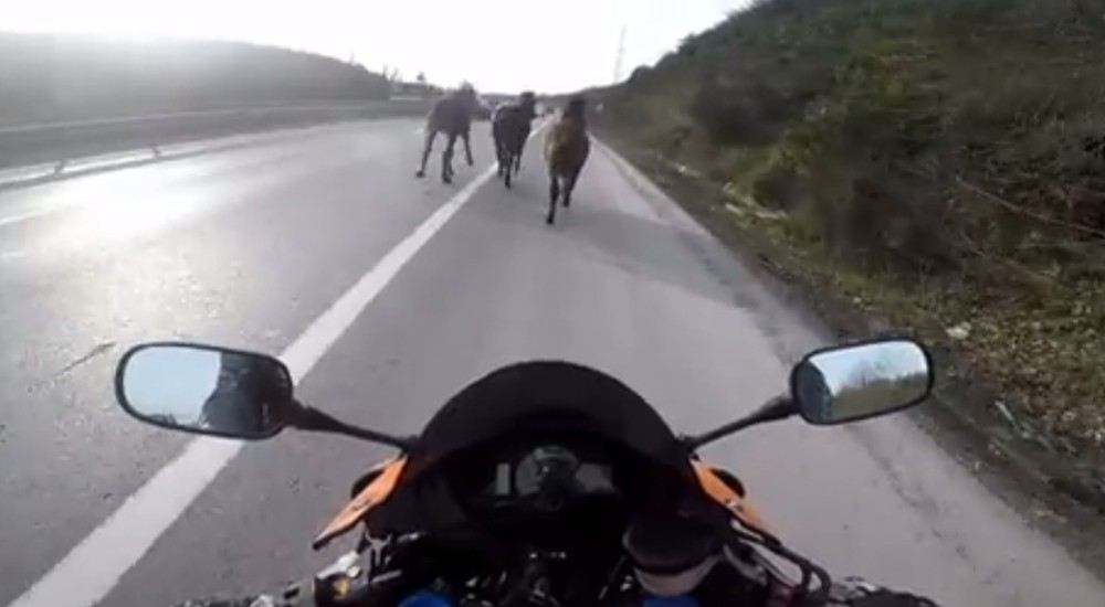 (Özel) Şile Yolunda Motosikletli Asfalt Kovboyları Kamerada