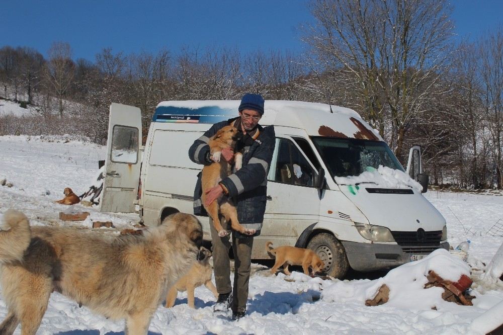 (Özel) Sokak Hayvanlarını Beslemek İçin İstanbuldaki Dairesini Sattı