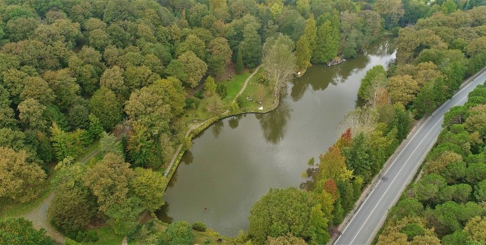 (Özel) Sonbaharın Renklerine Bürünen Atatürk Arboretumu Havadan Görüntülendi