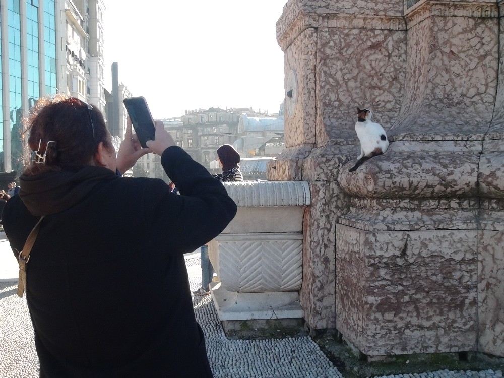 (Özel) Taksim Cumhuriyet Anıtına Çıkan Kedi Turistlerin İlgi Odağı Oldu