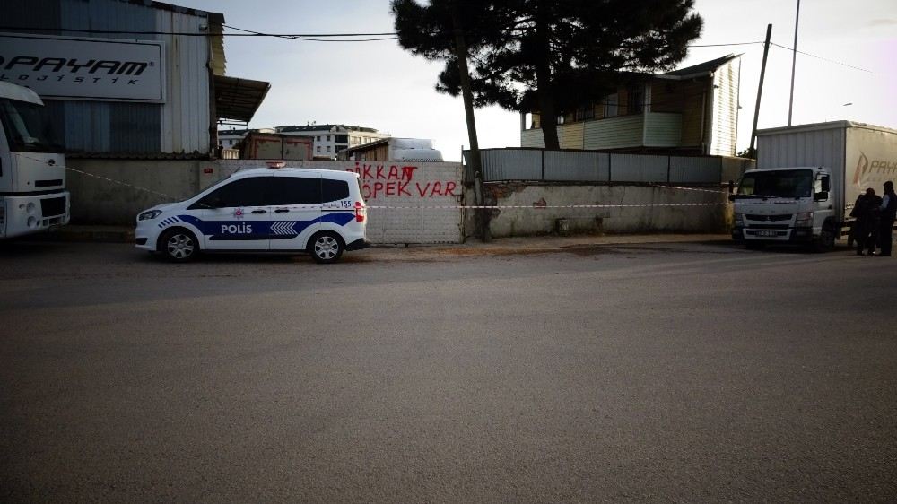 (Özel) Tuzlada Tır Şoförünün Feci Ölümü