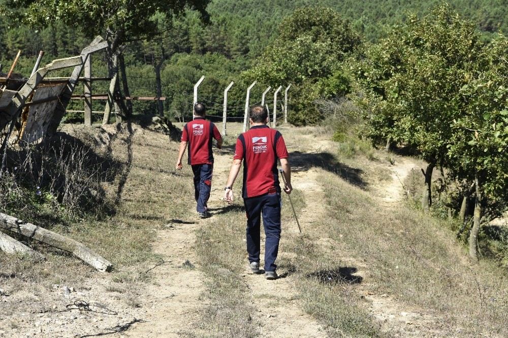 Pendikte Kaçan Kurbanlıklara Üfleme Çubuklu Ekip