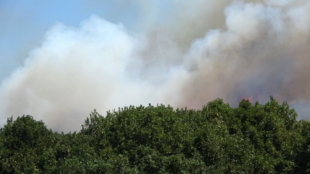 Pendikte Korkutan Orman Yangını Söndürüldü