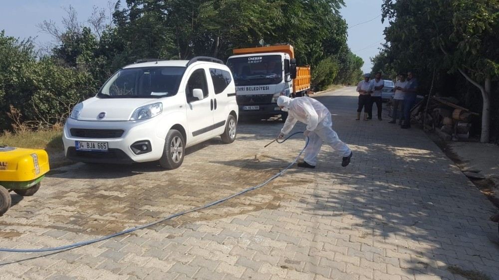 Şarbon Şüphesiyle Karantinaya Alınan Mahallelerde İlaçlama Devam Ediyor