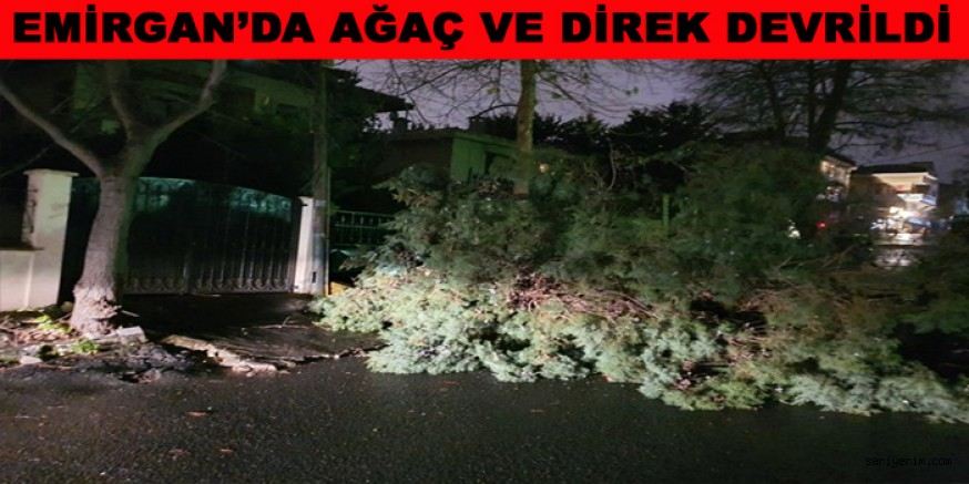 Sarıyerde Ağaç ve Direk Devrildi