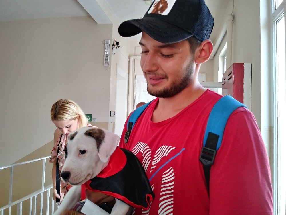 Sarıyerde Bir Seçmen Yavru Köpeği İle Oy Kullandı
