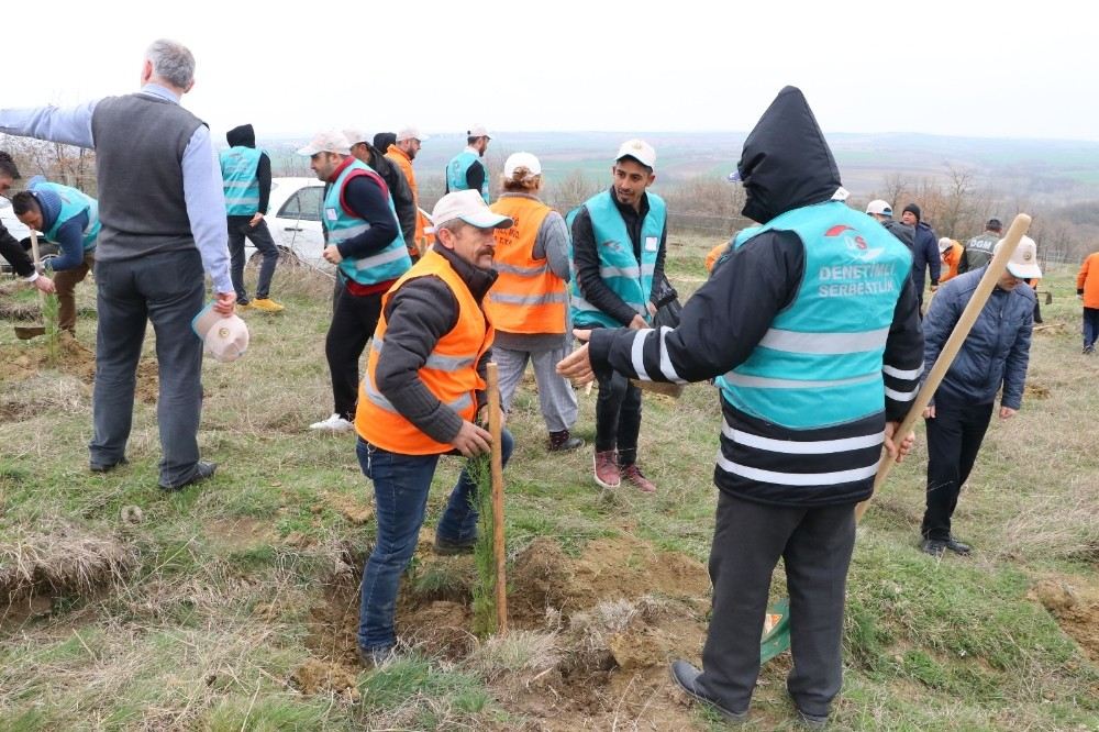 Savcılar Ve Hükümlüler Fidan Dikti