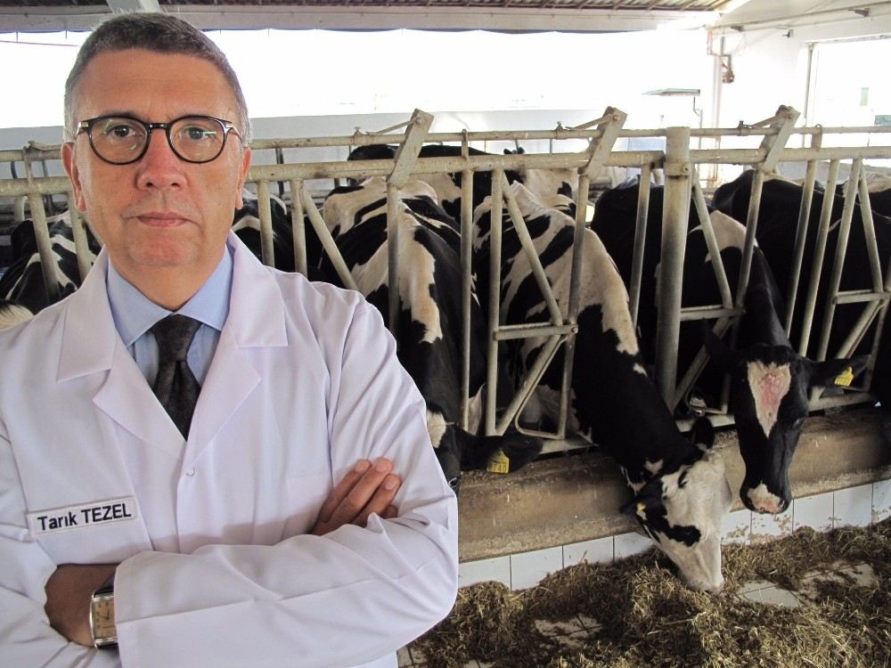 Setbir Başkanı Tarık Tezel: Sütümüz Sağlıklı, Bilginiz Kirli