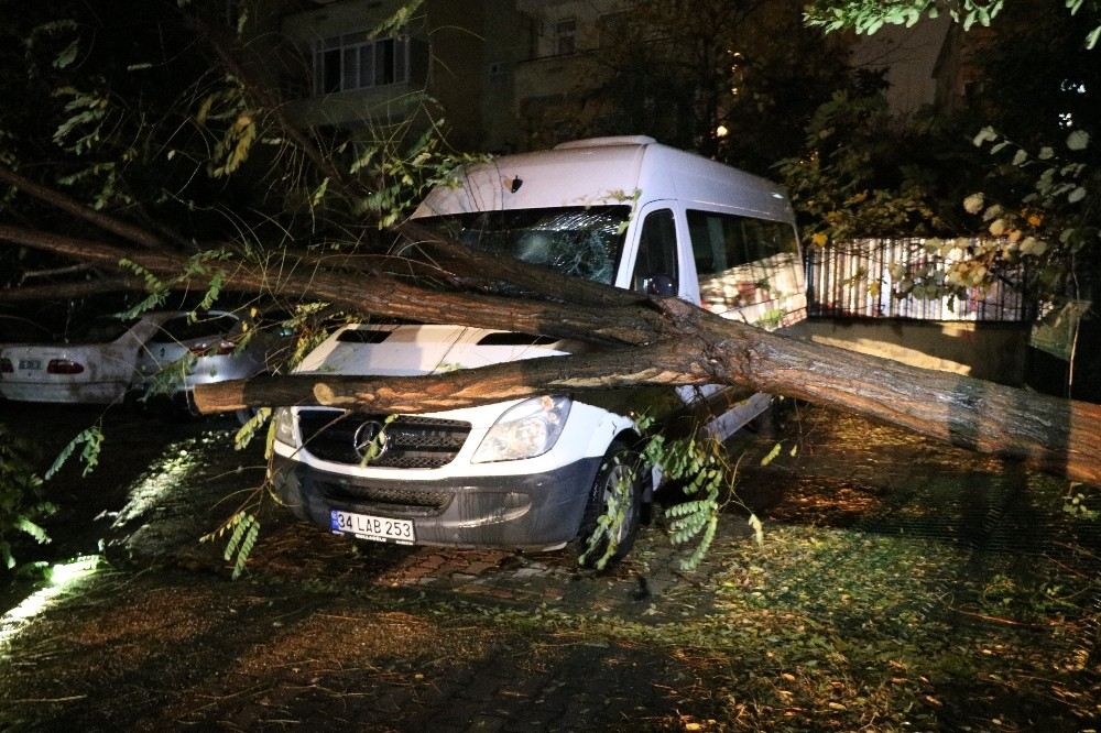 Şiddetli Fırtınada Ağaç Minibüsün Üstüne Devrildi