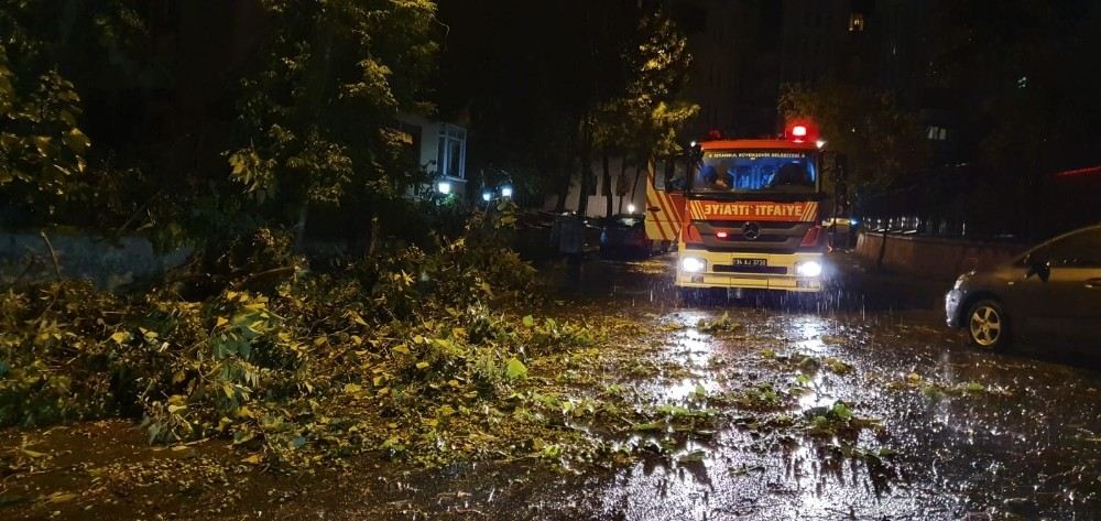 Şiddetli Rüzgar Ağacı Yerinden Söktü