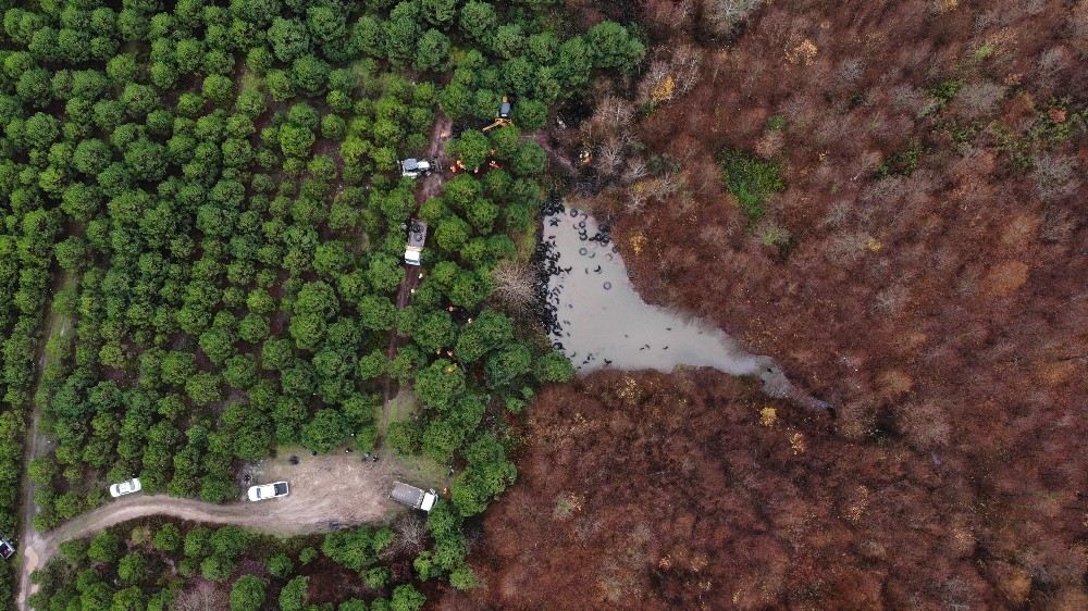 Şilede Ormandaki Lastikleri Kaldırma Çalışmaları Havadan Görüntülendi