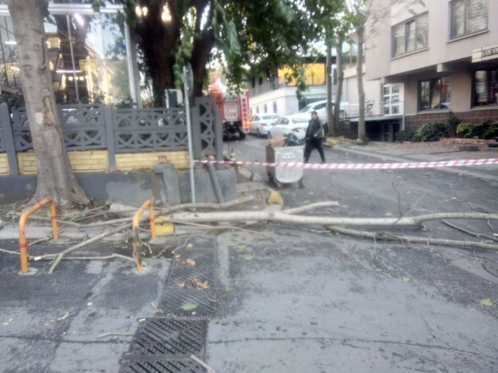 Şişlide Aşırı Rüzgardan Kırılan Ağaç Dalı, Restoran Çatısına Düştü