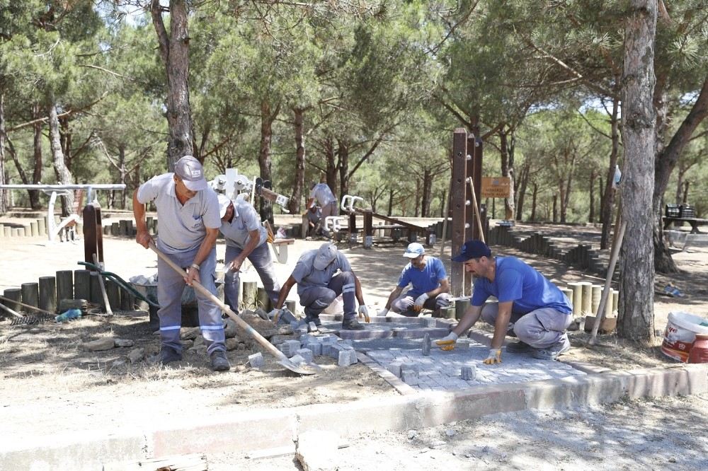 Sultangazi Belediyesinden Yeşil Alanlara Bakım