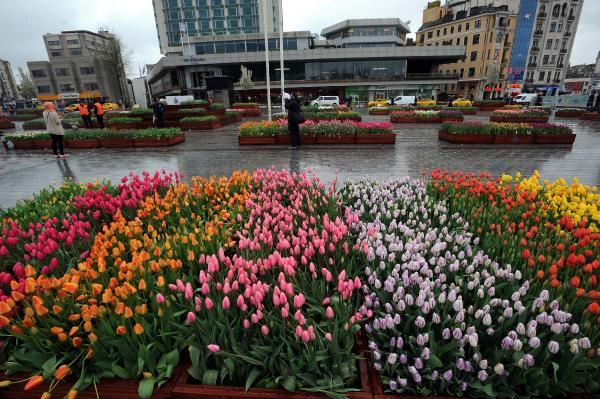 Taksim Meydanı Lalelerle Süslendi