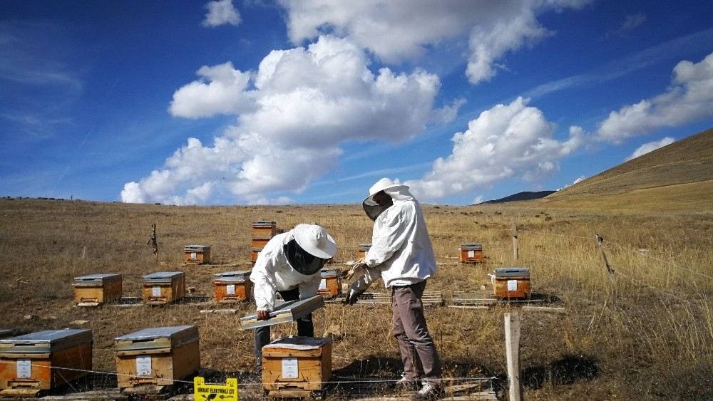 Tanap, 20 İlde Yaklaşık Bin Proje İle Çevreyi Ve Kalkınmayı Destekledi