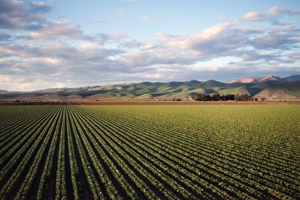 Tarım İlacı Kullanımı Yüzde 29 Arttı, Karekod Sistemiyle Bakanlık Tarafından Kontrol Altına Alınacak