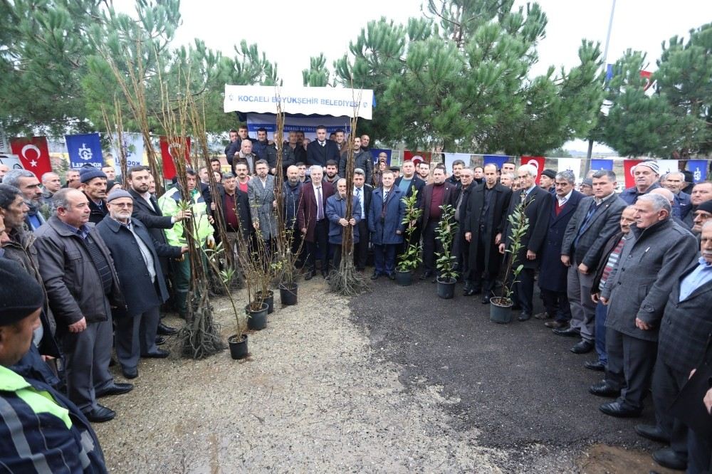 Tarımın Her Alanına Büyükşehir Desteği