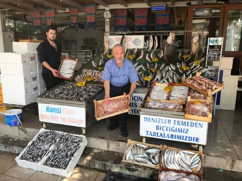 Tezgahlardaki Hamsi Bolluğu Yüzleri Güldürdü