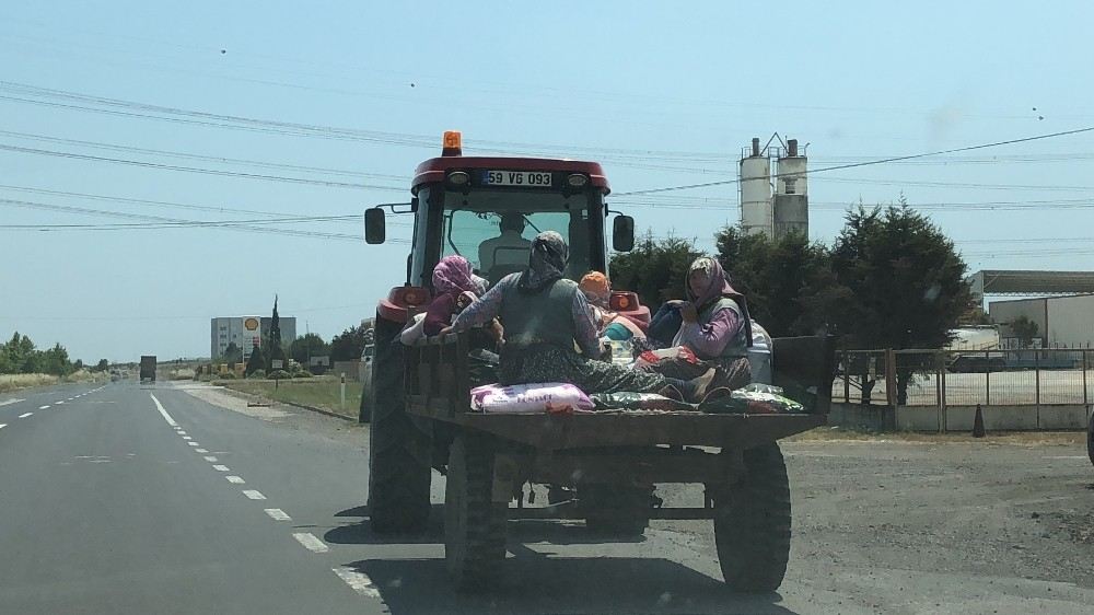 Traktör Römorkunda Tehlikeli Taşımacılık