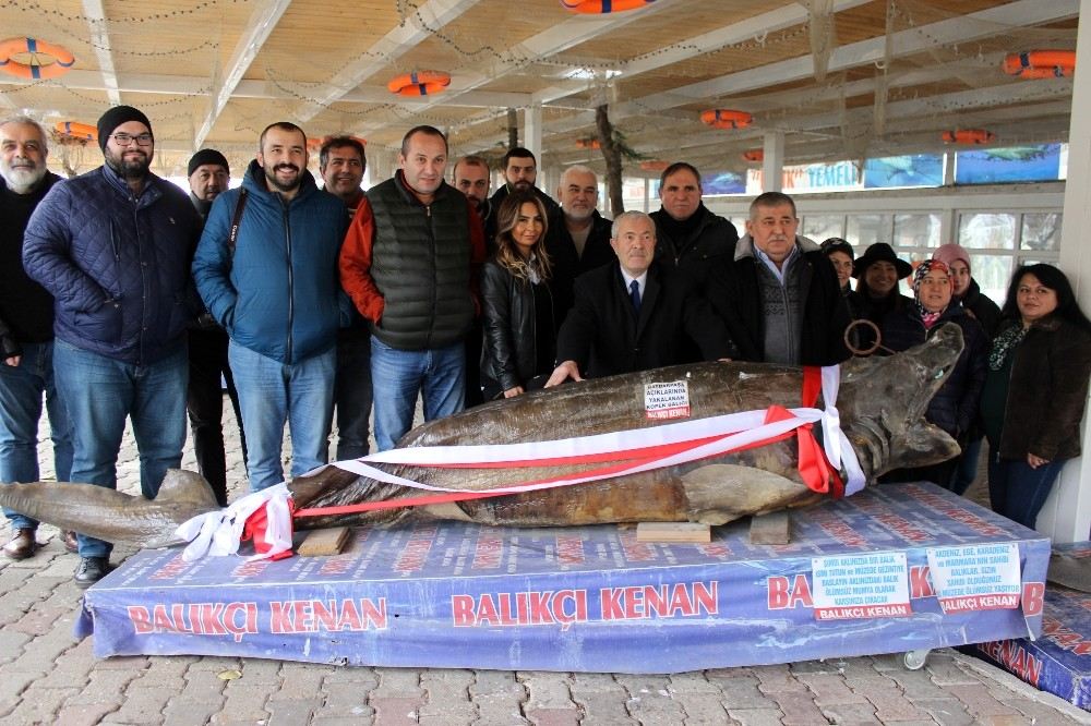 Türkiye Deniz Canlıları Müzesi, Yarıyıl Tatilinde Ziyaretçileri Bekliyor