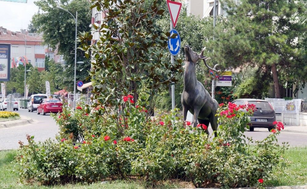 Türkiyenin İlk Ekolojik Bulvarı Büyükçekmecede