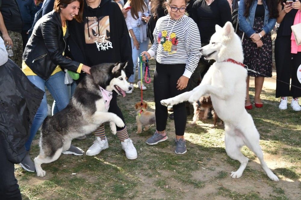 Türkiyenin İlk Evcil Hayvan Ve Yaşam Festivali Petival Renkli Anlara Sahne Oldu