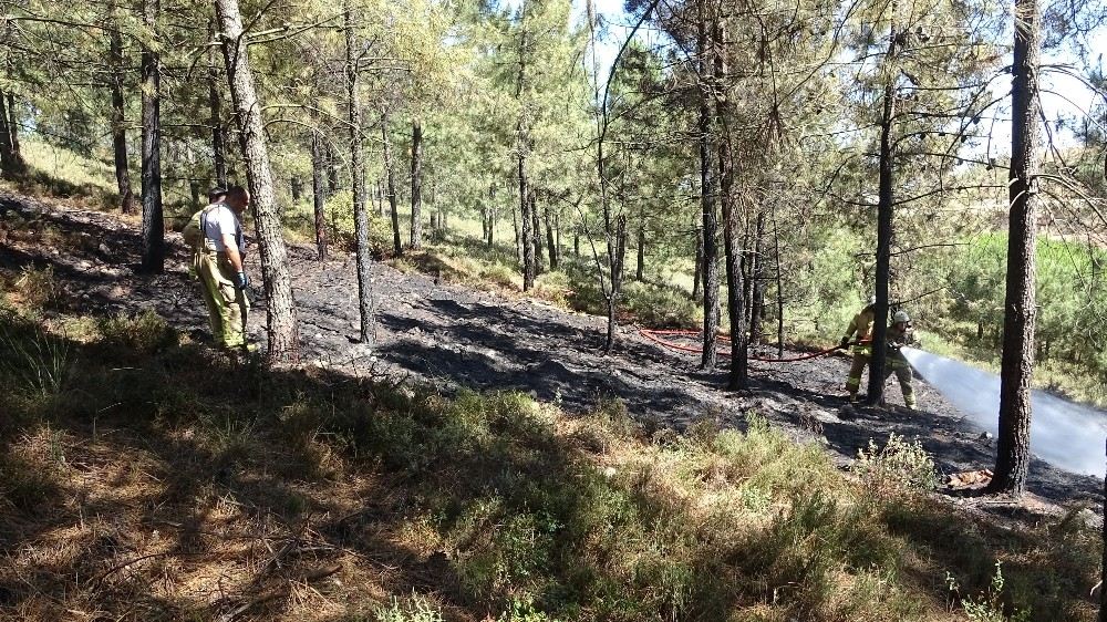 Tuzlada Ormanlık Alanda Yangın Paniği