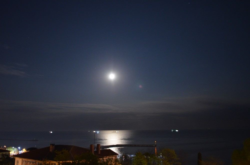 Yakamoz Şehri Böyle Renklendirdi