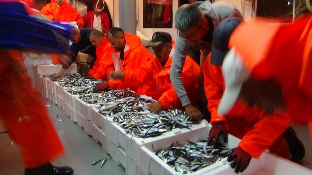 Yasak Sona Erdi Balıkçılar Vira Bismillah Dedi